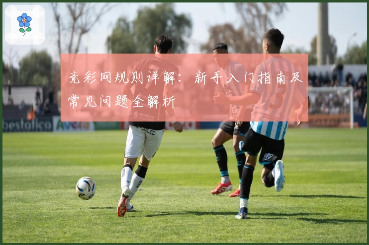 竞彩网规则详解：新手入门指南及常见问题全解析