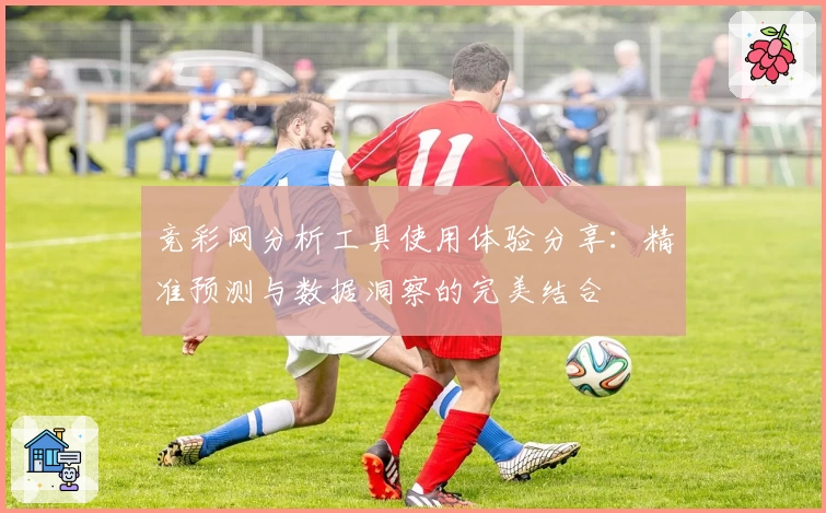 竞彩网分析工具使用体验分享:精准预测与数据洞察的完美结合